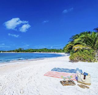 Two Private Apartments for 8 Guests Near Beach with Pool Gym and Fast WiFi 4433 - 2