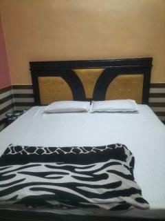 Shri Radha Raman Ji Seva Sadan - 3