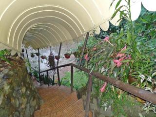 Mountain Lodge Hotel and Restaurant - 7