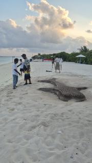 Dhigurah Holidays - 9