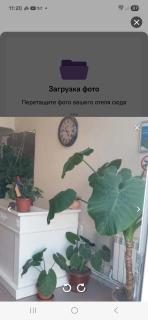 Hotel International - 2