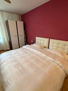 Central Zurich Stay - 0