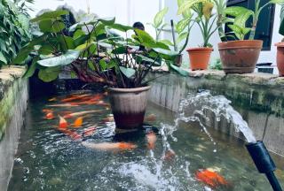 Lai Ming Hotel Cosmoland - Singapour - 4