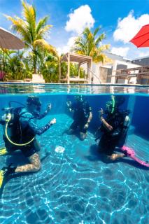 Delfins Beach Resort Bonaire, Tapestry Collection by Hilton - Kralendijk - 5