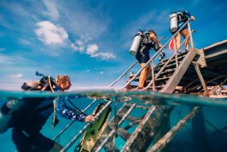 Delfins Beach Resort Bonaire, Tapestry Collection by Hilton - Kralendijk - 4