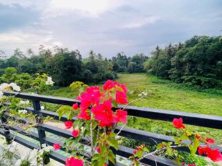 Moon View Homestay - 7