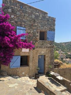 CASA MIA - Maison et chambres à louer à Corbara - 0