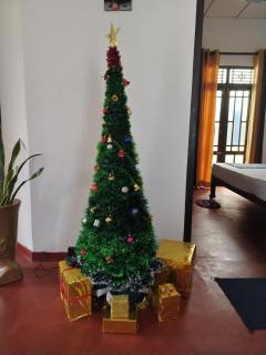 Bobbys Villa Mirissa Walk to Mirissa Beach - 8