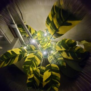 R & A Casa de Aurora - 2