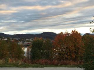 Modern cozy studio with free parking - 5