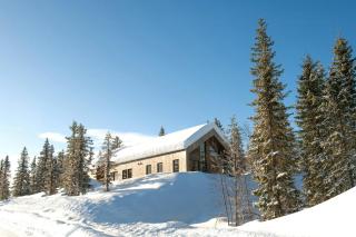 Modern Family Cabin With Trysil Mountain Views - Trysil - 8