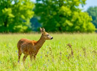 Hot Tub Private Lodge - Fountain Fishing Lakes - 4