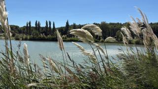 maison aux Baux de Provence - 3