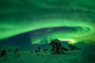 Villa Ilvesrinne Rukatunturi - 2 winter ski passes, Sauna, EV Char, Forest view - 6