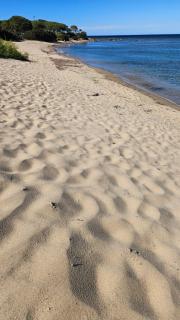 Villa vista pineta - 90 mt dalla spiaggia - 7