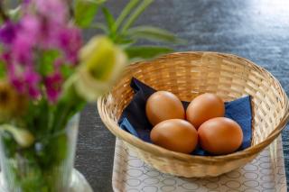 Guesthouse de Bovenboer - 4