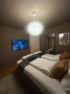 Cozy Apartment - Near Downtown - Parking - 2