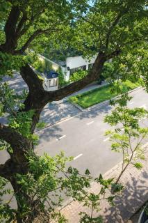 Cát Tường Hotel - 7