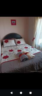 Vista hermosa del páramo alto Laguna Verde - 7