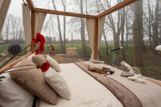 Bubbeltent in bos met hottub, 20m Amsterdam - 1