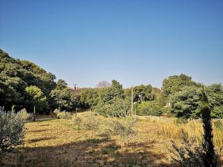 Petit mas en Provence - 5