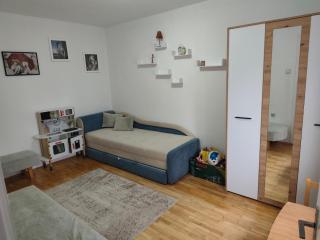 Planinska kuća Vladanka - planina Goč - banjska strana - preko puta ski staze - 4