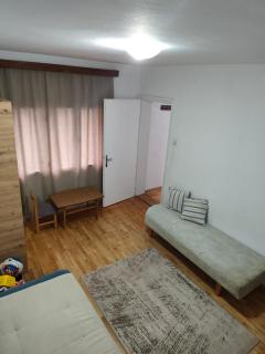 Planinska kuća Vladanka - planina Goč - banjska strana - preko puta ski staze - 2