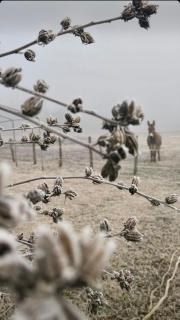 CASCINA LAI - Oasi Naturalistica - Camere private - 9