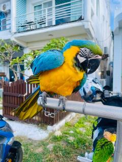 海洋玫瑰海景民宿 - 6