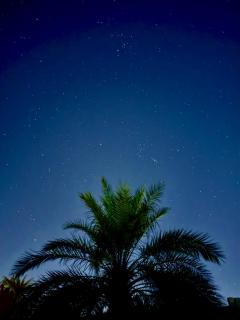 Gite Sable D'Or Massine - 3