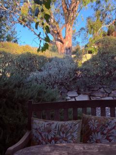 Barossa Valley’s Captain Rodda’s Cottage - Angaston - 8