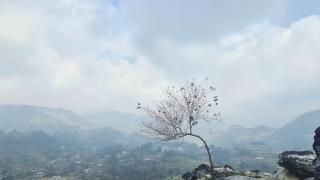 De Pakha Homestay - 4