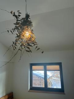 Ferienhaus Wieswald - Ehrwald - 5