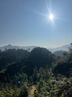 De Pakha Homestay - 9