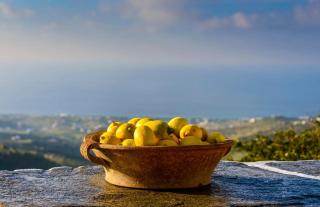 The Artist House - 1