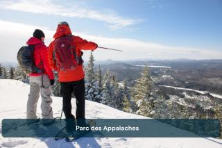 Chalet Aigle Ski in-out Appalaches Park 16 Guests - 7