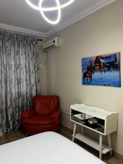 Luxe Apartment Tirana - 8