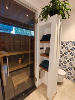 Huize Triangel - Wellness studio met sauna - 6