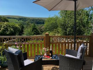 The Dale - Luxurious annexe with stunning view - 9