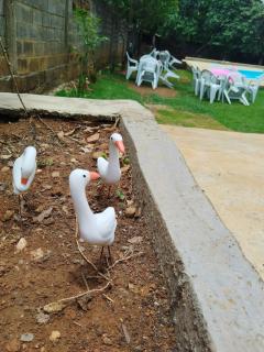 Sítio Oía o trem! - 9