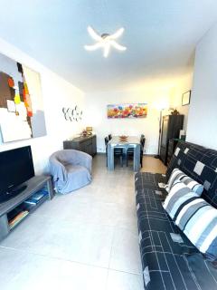 4PA109 Appartement F2 résidence avec piscine parking et cours de tennis - 3