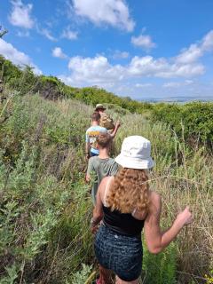 Springwater Cottages - 9