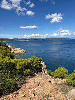 Le Mas de la Rose - 7