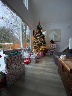 Muskoka Cottage on a 4 Lake Chain - 9