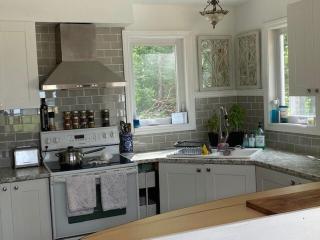 Muskoka Cottage on a 4 Lake Chain - 2