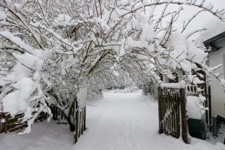 Helle und moderne Ferienwohnung im Allgäu für 2 Personen - 8