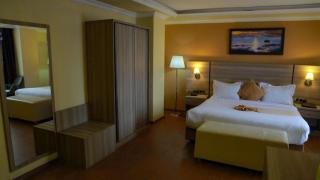 Holiday Hotel Addis Ababa - 8