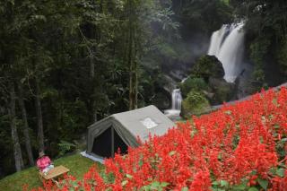 Doi Inthanon Waterfall Garden - 1