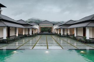 Kohu by Honeyvale - 9