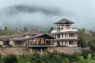 Kohu by Honeyvale - 8